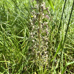 24-05-18 16-03-22 9470